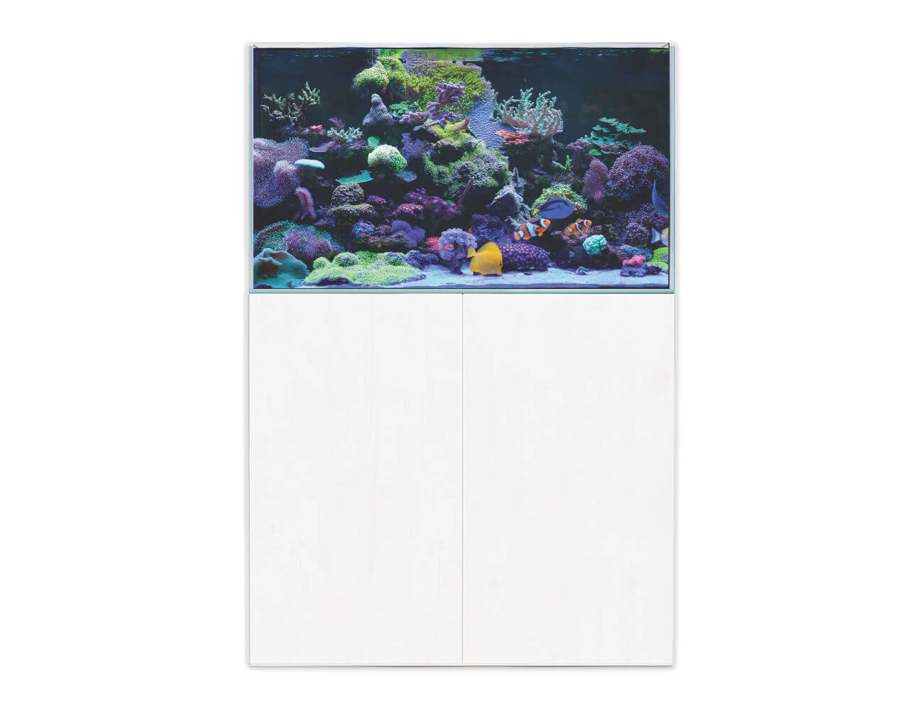 Aqua One ReefSys 255 Marine tank with sump, plumbing & cabinet - Perfect Aquatics Ltd