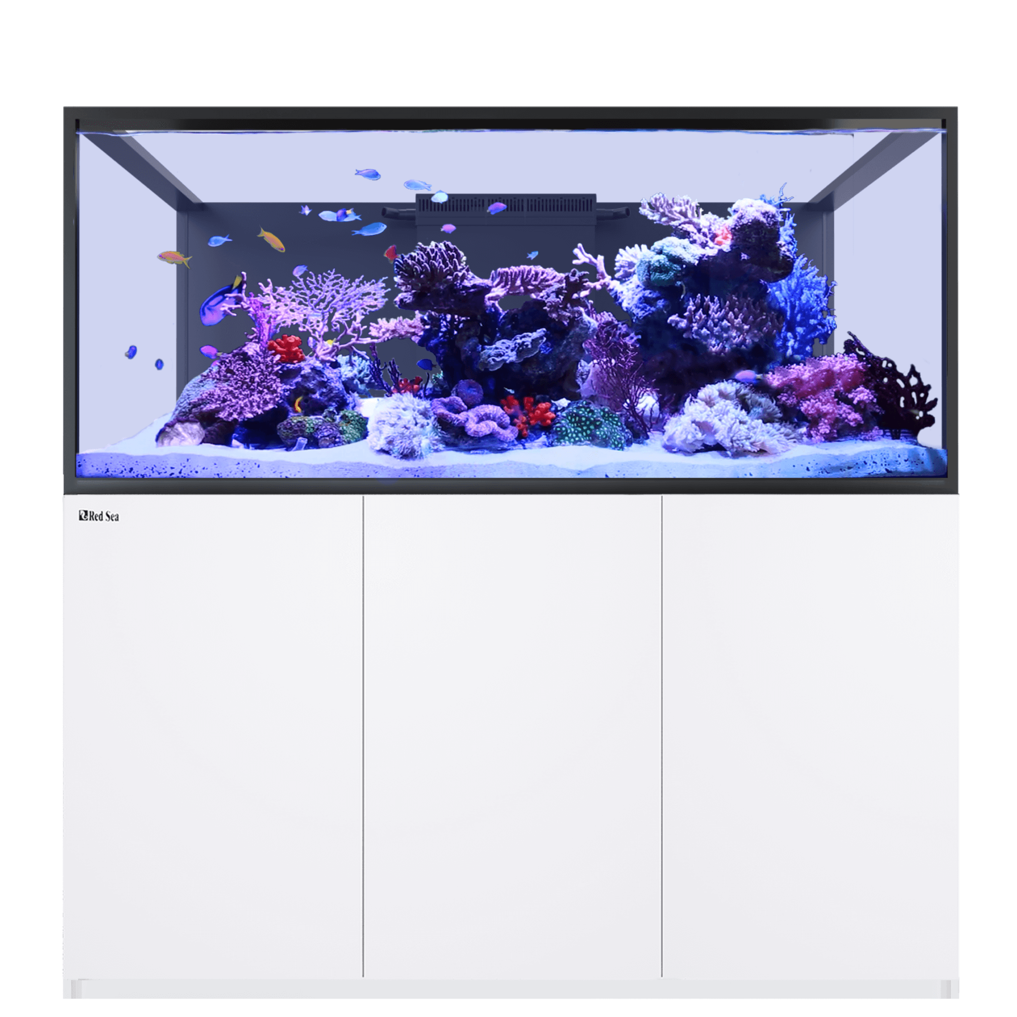 Red Sea Reefer - S G3 700 Aquarium - Perfect Aquatics Ltd