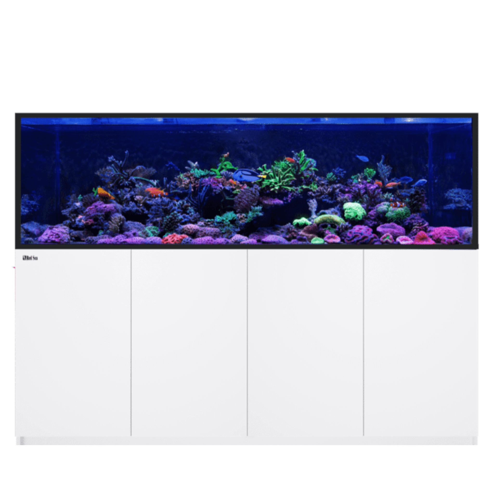 Red Sea Reefer G3 S - 850 Aquarium - Perfect Aquatics Ltd
