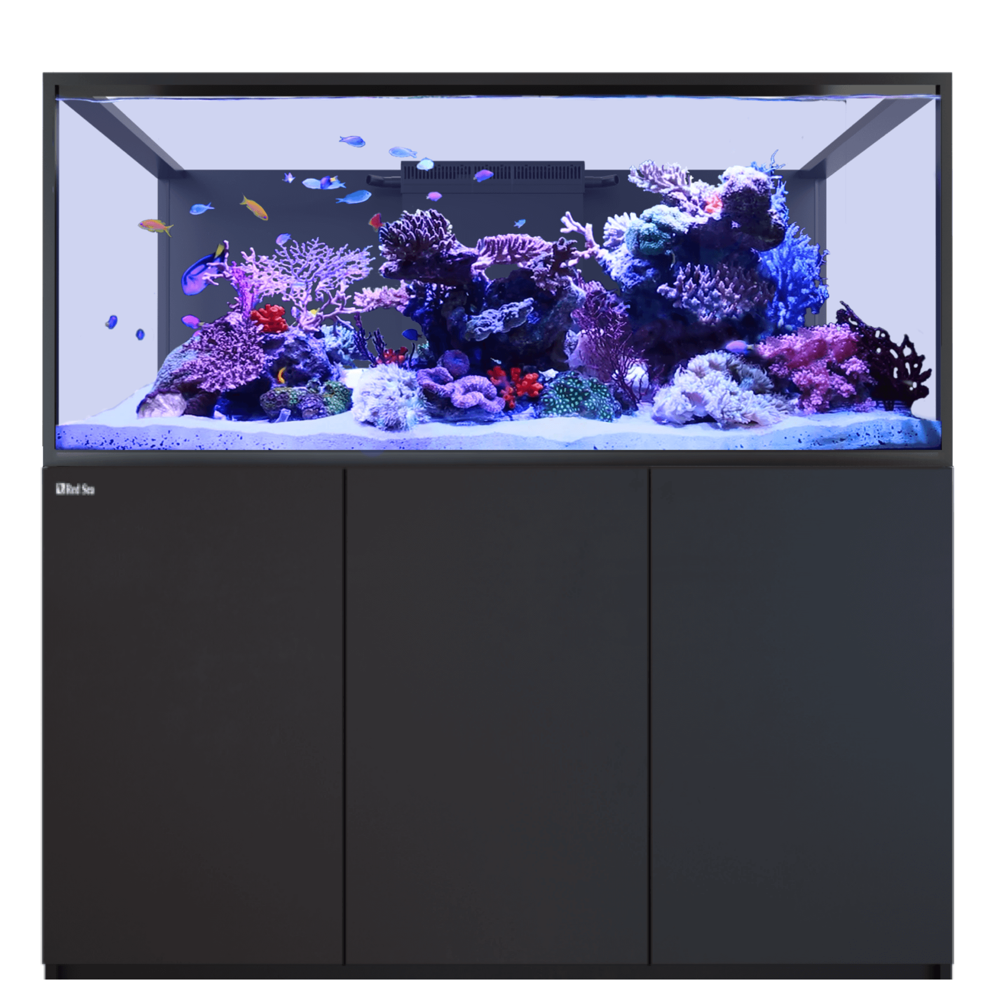 Red Sea Reefer - S G3 700 Aquarium - Perfect Aquatics Ltd