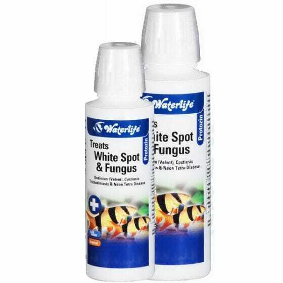 Waterlife Protozin Whitespot and Fungus Treatment - Perfect Aquatics Ltd