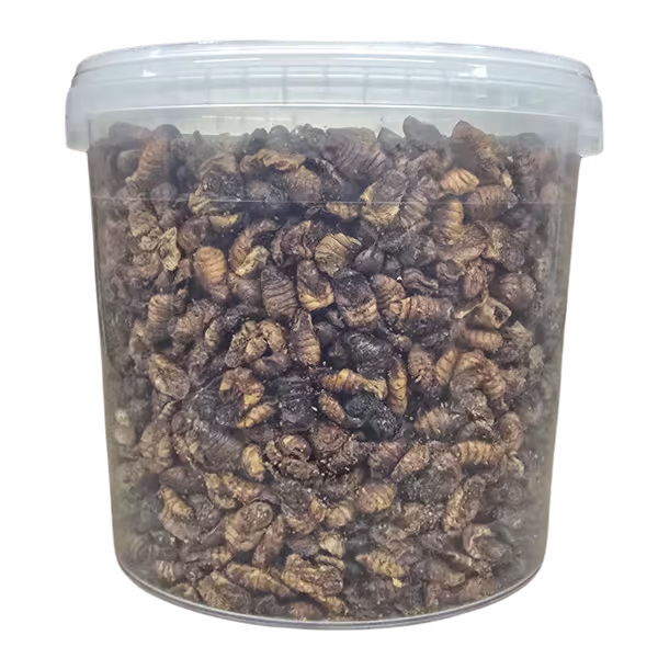 Shark Pond Food - Silkworm Pupae