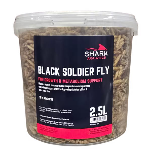Shark Pond Food - Soldier Fly Larvae