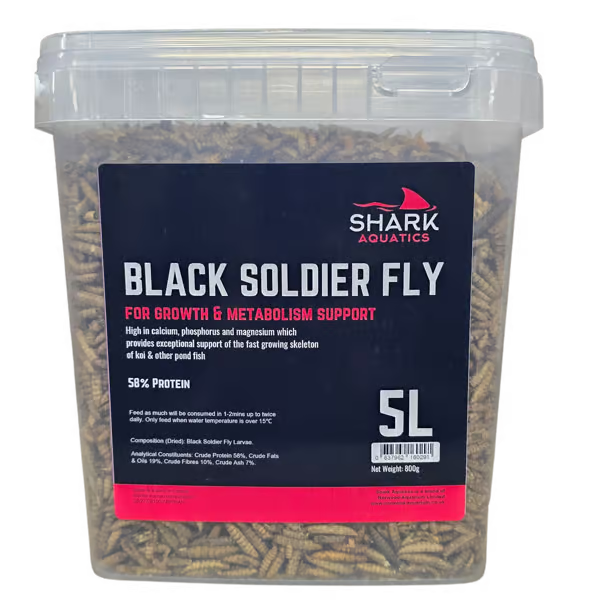 Shark Pond Food - Soldier Fly Larvae