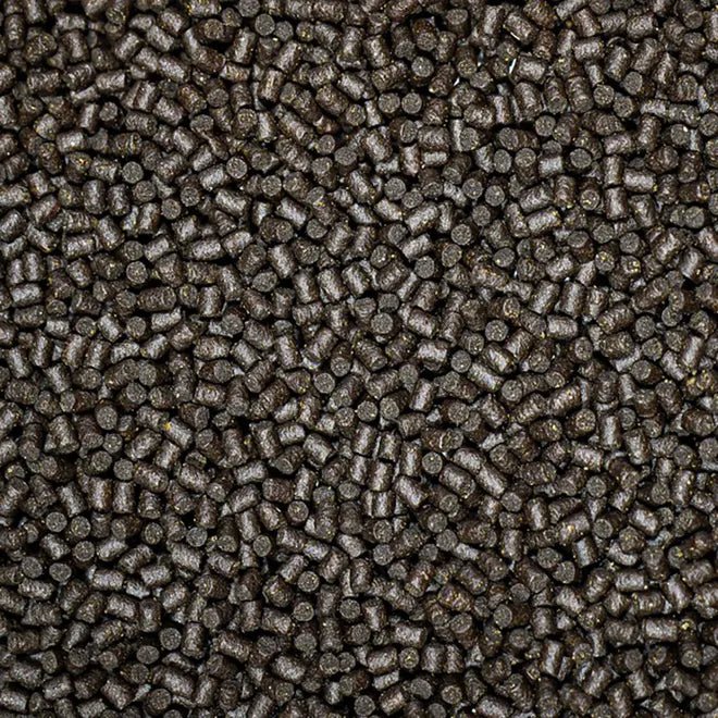 NT Labs Medikoi Sturgeon - Perfect Aquatics Ltd