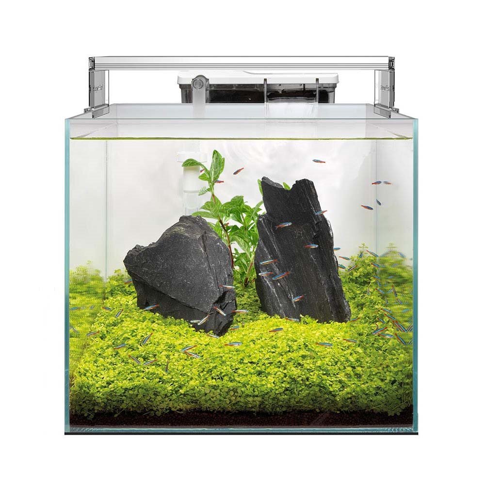 Superfish Scaper Qube Tropical Aquarium - Perfect Aquatics Ltd