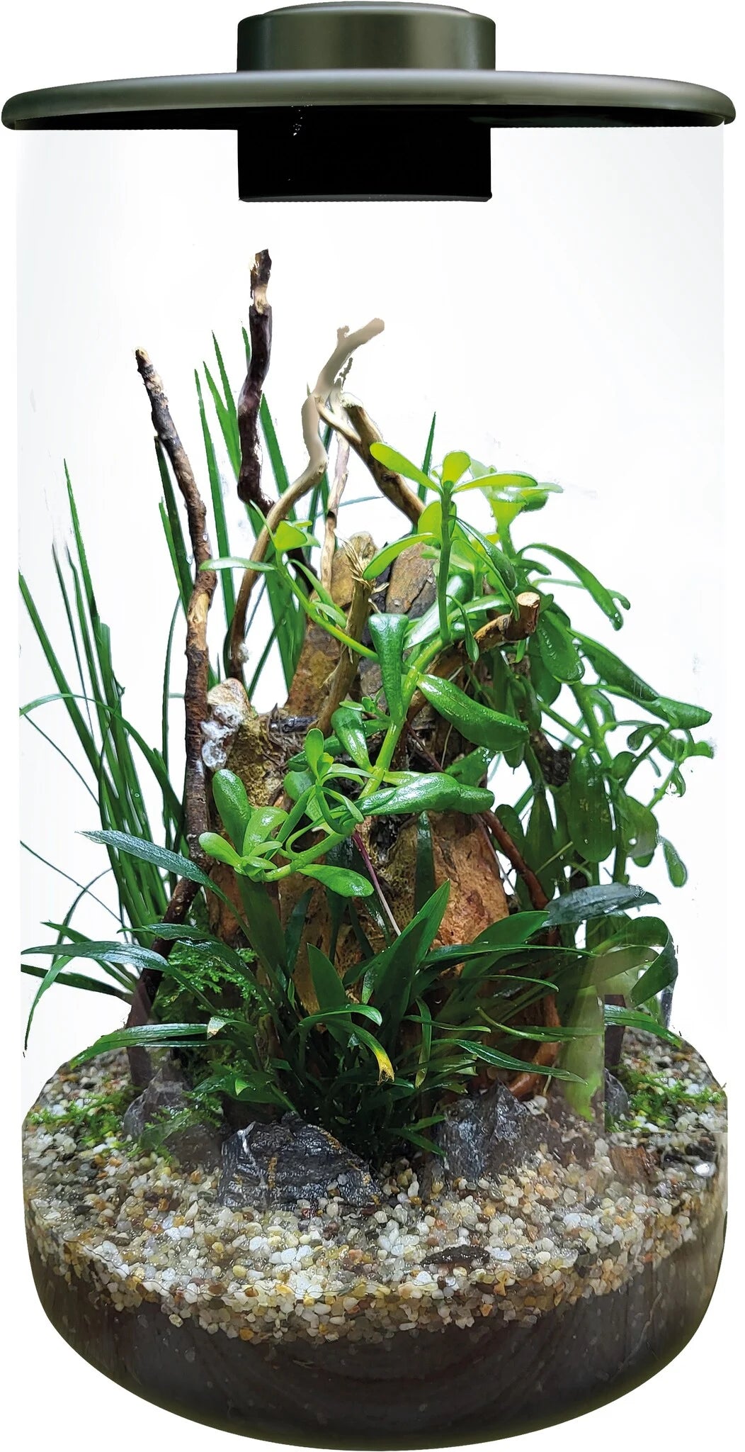 Superfish BioArt Cylinder 285 - Black - Perfect Aquatics Ltd