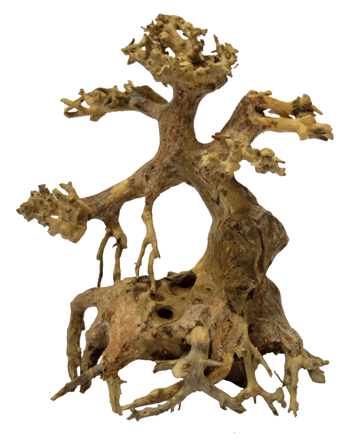 SuperFish Bonsai Driftwood - Per Piece - Perfect Aquatics Ltd