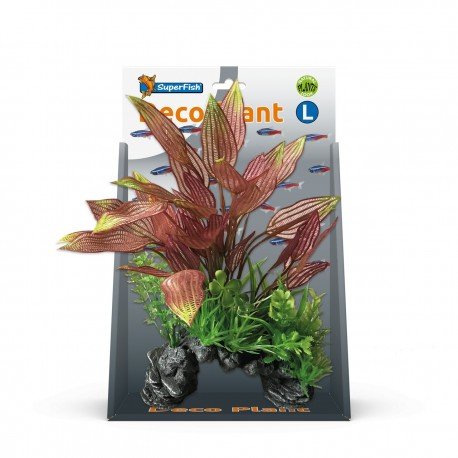 Superfish Deco Plant Kit Henkelianus Large - Perfect Aquatics Ltd