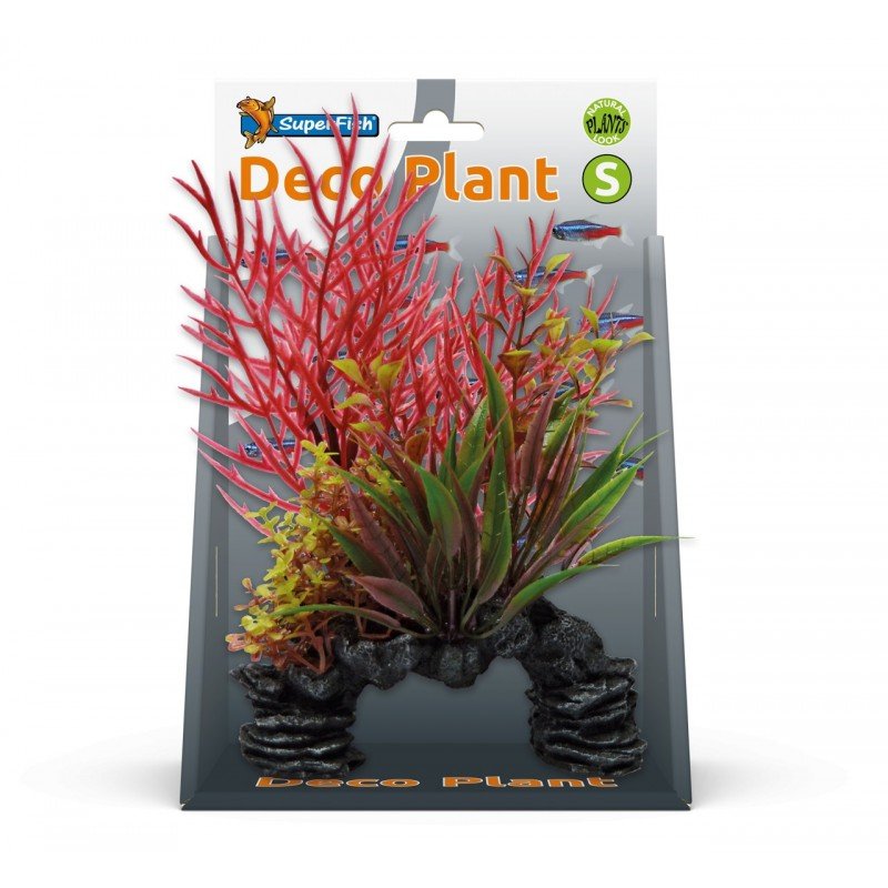 Superfish Deco Plant Kit Ludwigia Small - Perfect Aquatics Ltd