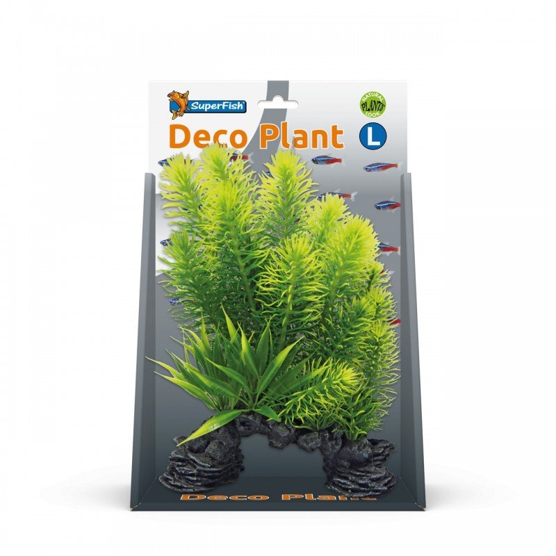 Superfish Deco Plant Kit Myriophyllum Large - Perfect Aquatics Ltd