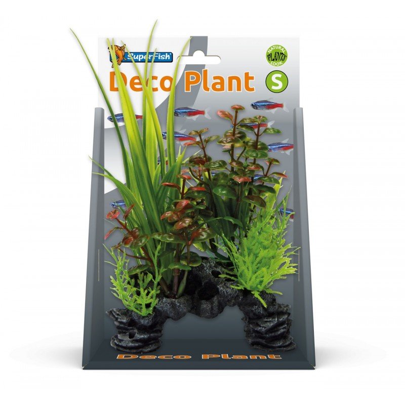 Superfish Deco Plant Kit Rotala Small - Perfect Aquatics Ltd