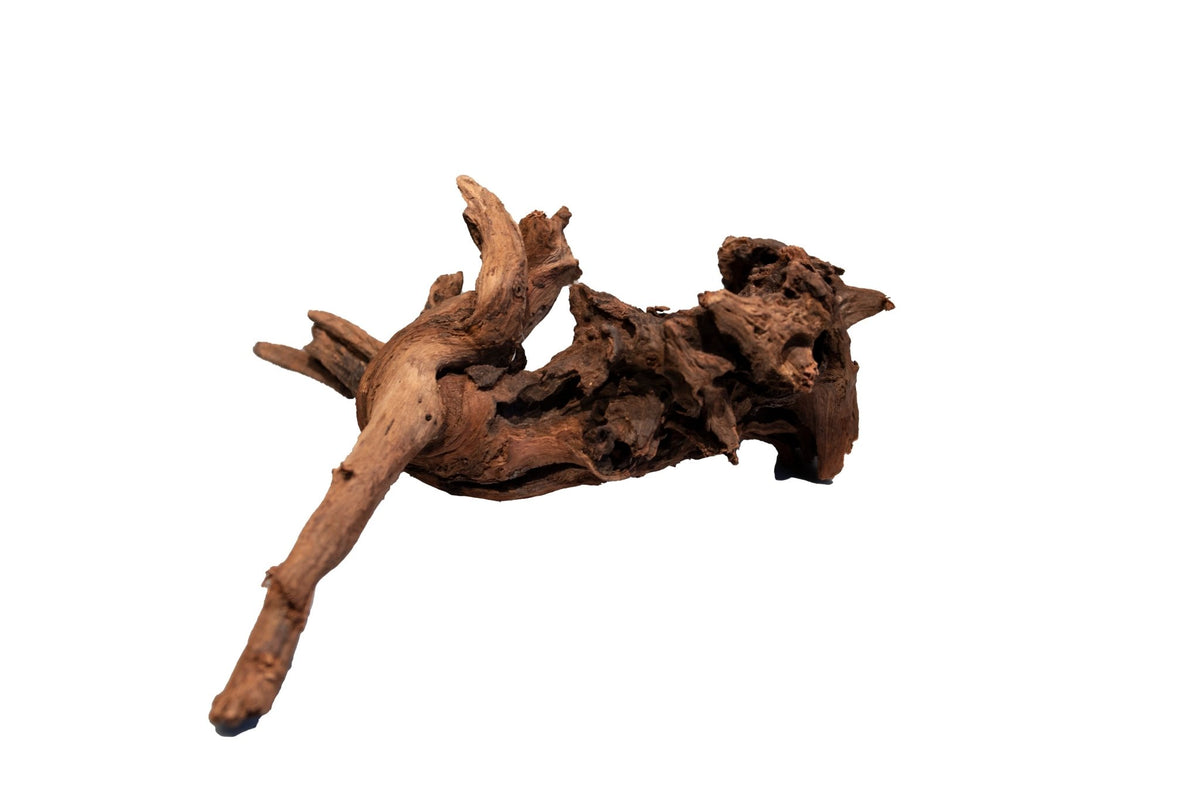 Superfish Mangrove Aged Wood - Per Piece - Perfect Aquatics Ltd