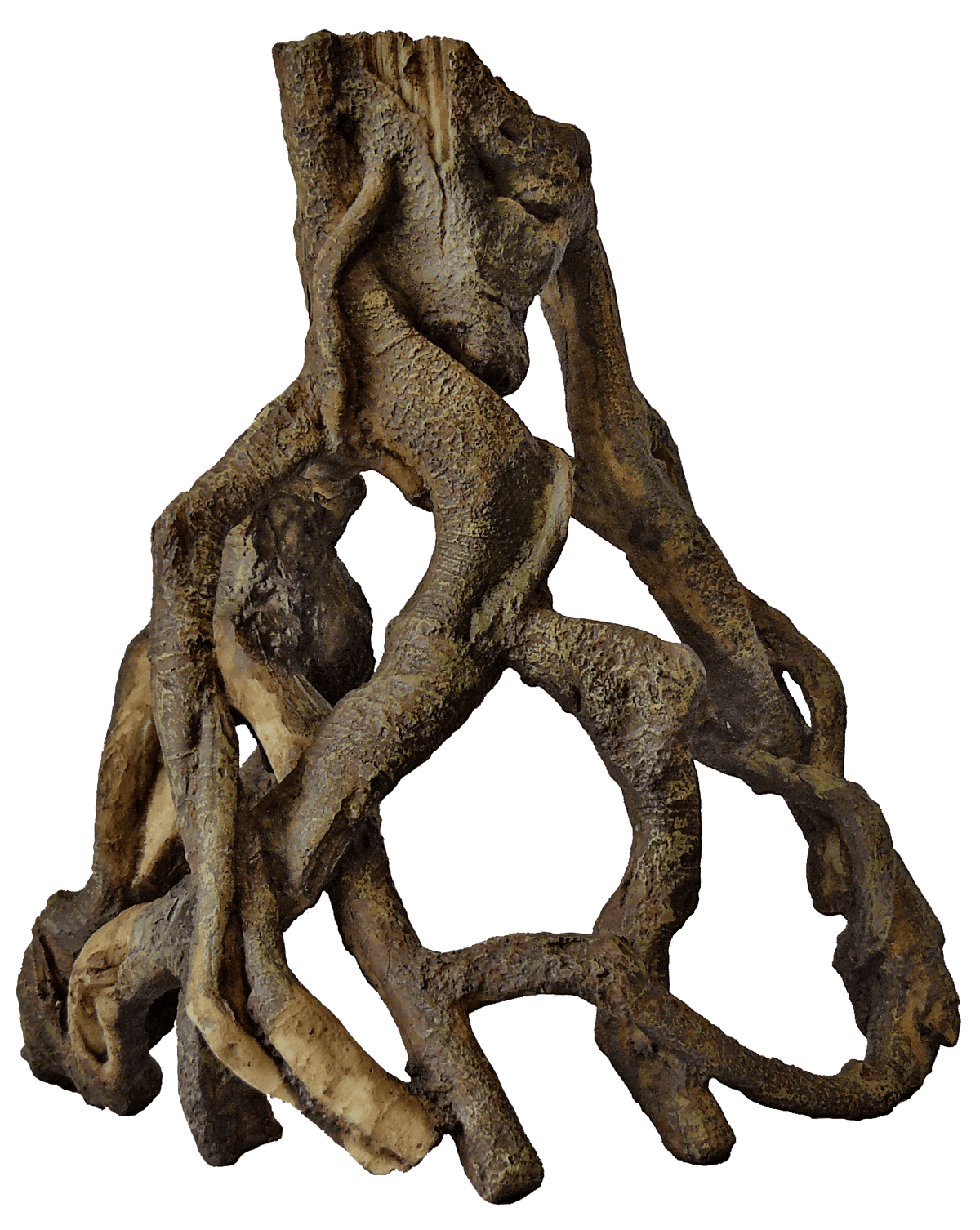 SuperFish Mangrove Root Aquarium Ornament - Perfect Aquatics Ltd
