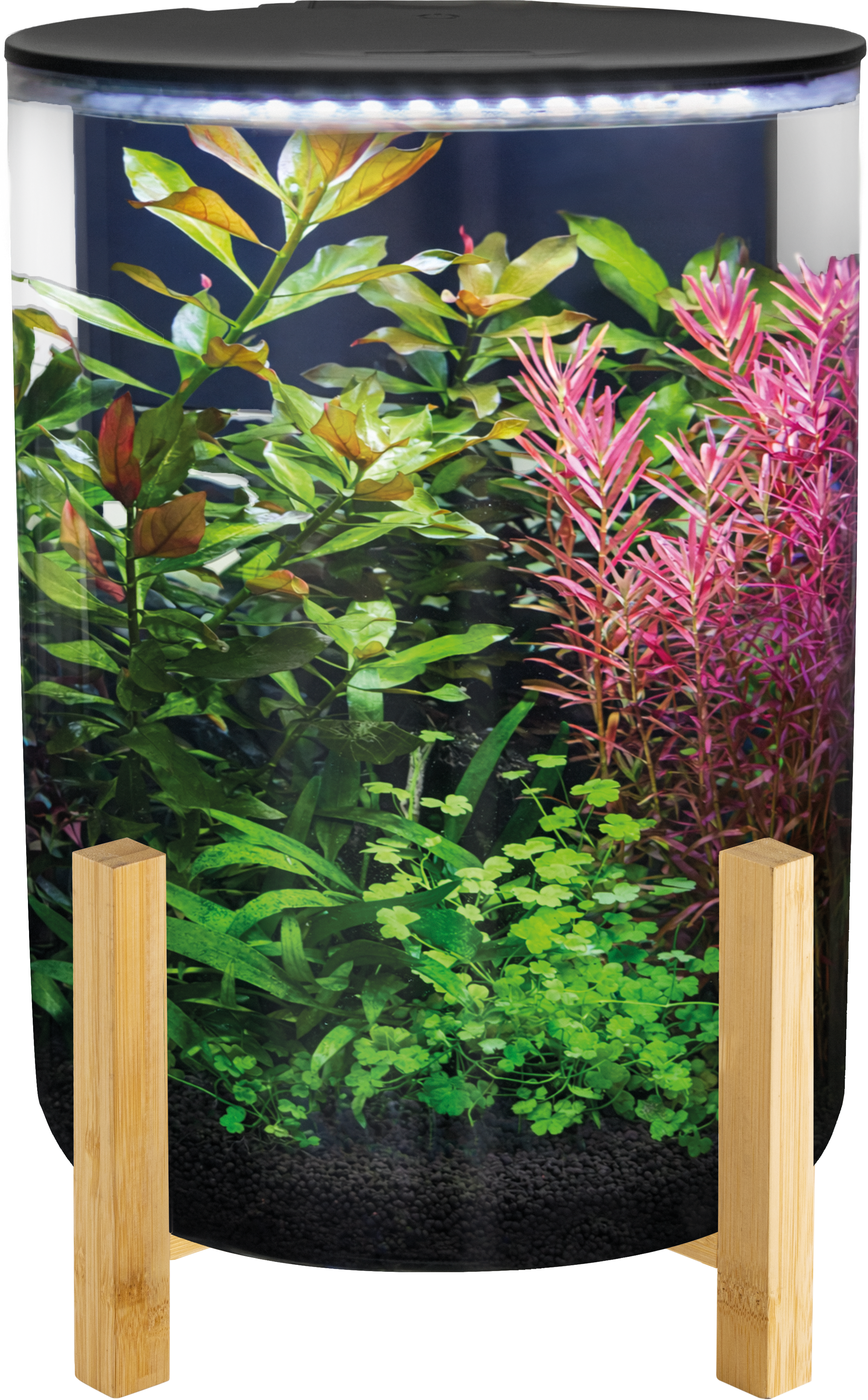 SuperFish Orbiq 11 aquarium in black