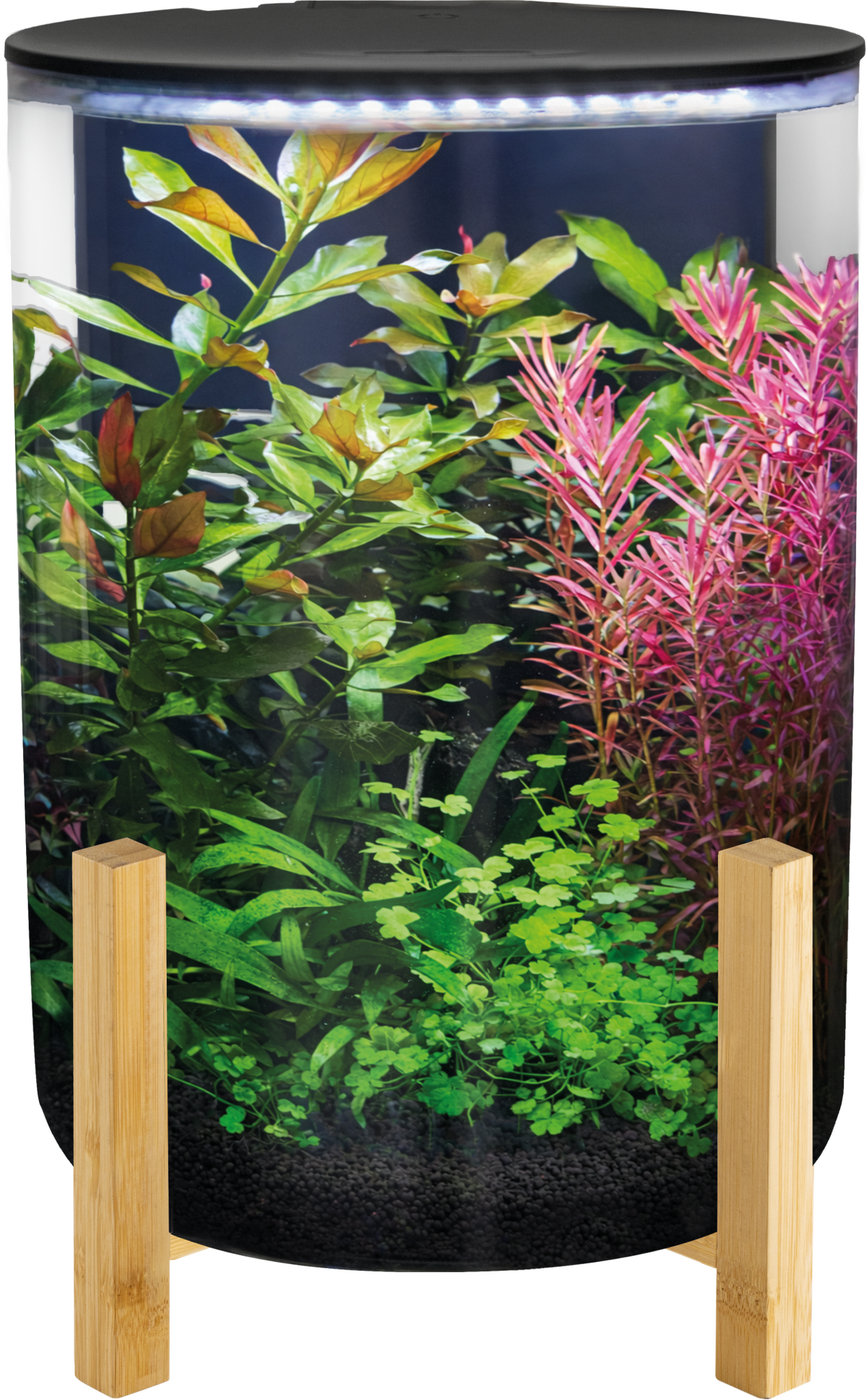 SuperFish Orbiq 11 Aquarium - Perfect Aquatics Ltd