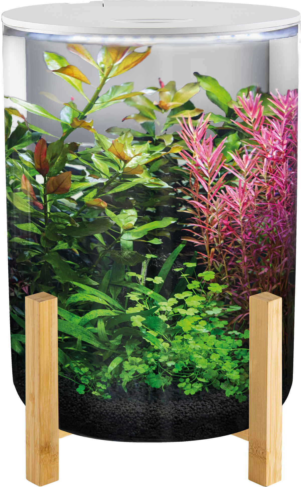 SuperFish Orbiq 11 aquarium in white