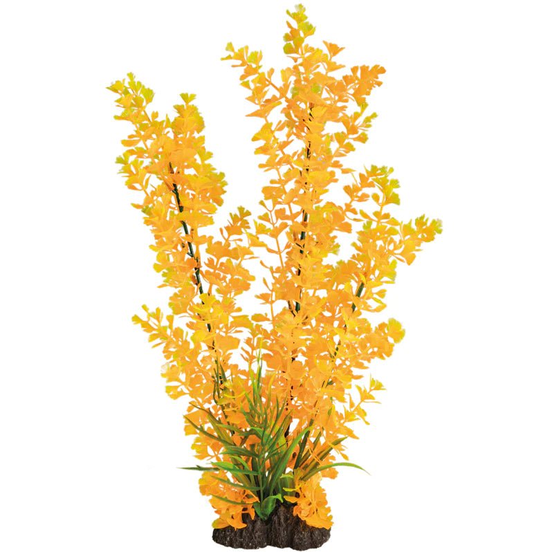 Superfish Art Plant 40cm Ludwigia Orange - Perfect Aquatics Ltd