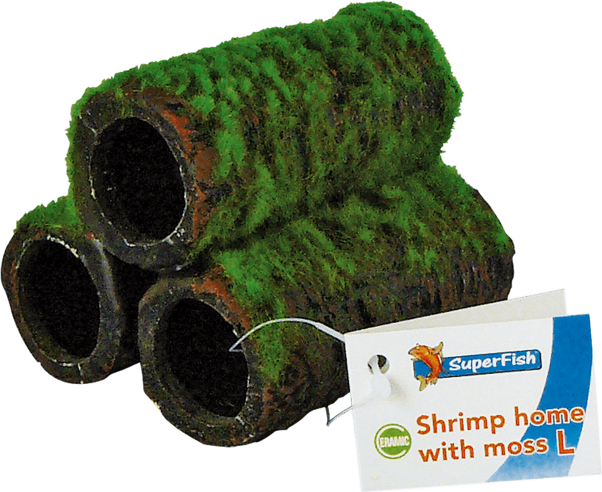 SuperFish Shrimp Home with Moss - Perfect Aquatics Ltd