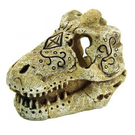 Superfish Skull T - Rex S - Perfect Aquatics Ltd