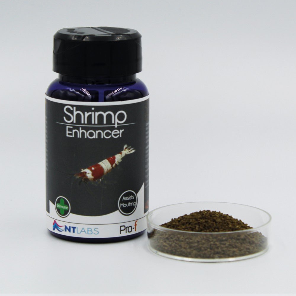 NT Labs Pro - F Shrimp Enhancer 40g - Perfect Aquatics Ltd