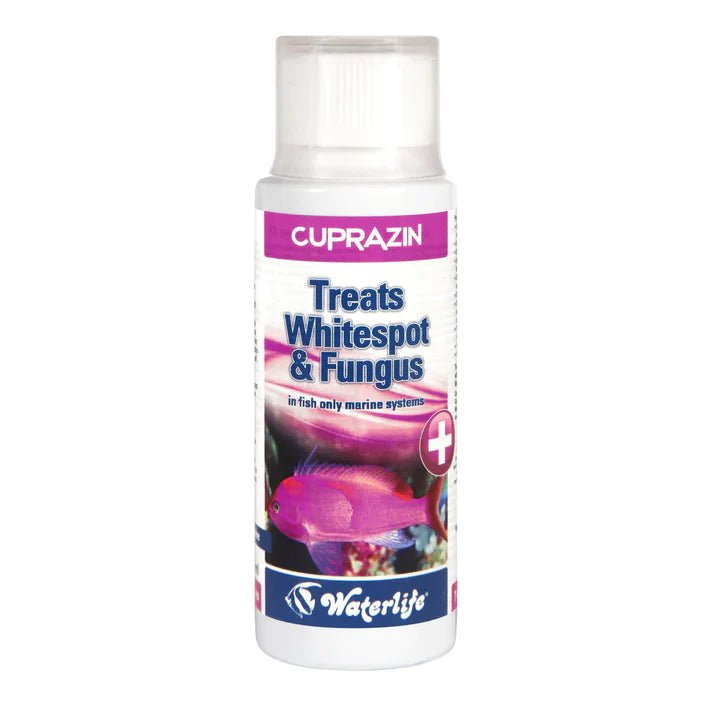 Waterlife Cuprazin Whitespot and Fungus Treatment 100ml - Perfect Aquatics Ltd