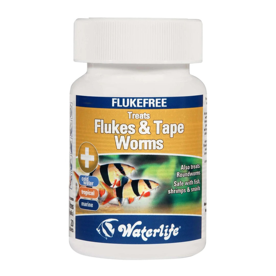 Waterlife Flukes and Tape Worms Treatment