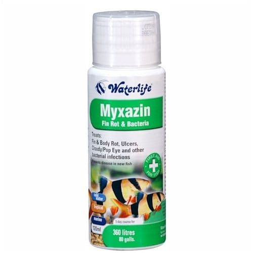 Waterlife Myxazin Fin Rot and Bacteria Treatment - Perfect Aquatics Ltd