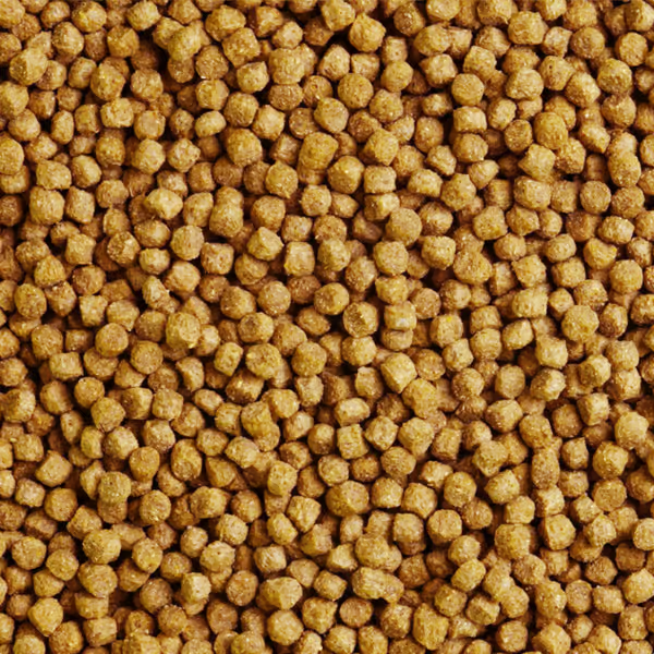 Shark Pond Food - Wheatgerm Pellets