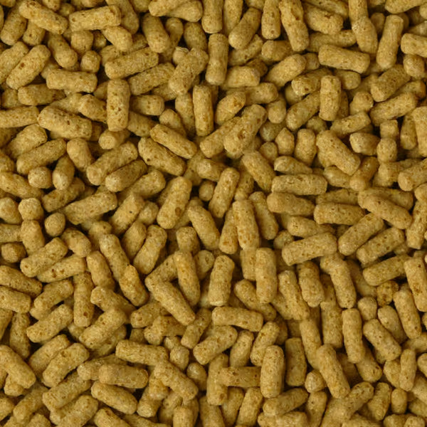 Shark Pond Food - Wheatgerm Sticks