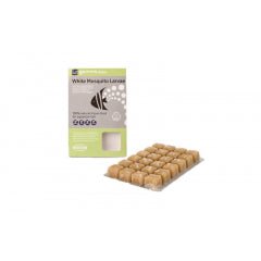 TMC Frozen White Mosquito Blister - Perfect Aquatics Ltd
