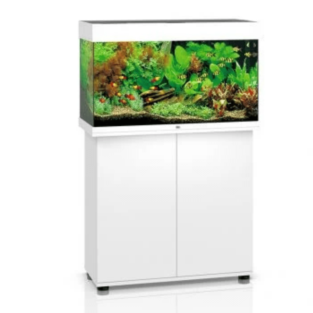 Juwel Rio 125 Aquarium and Cabinet - Perfect Aquatics Ltd