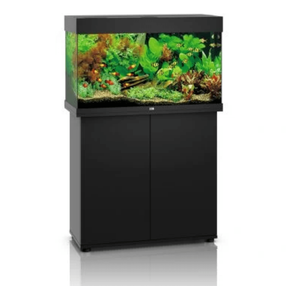 Juwel Rio 125 Aquarium and Cabinet - Perfect Aquatics Ltd