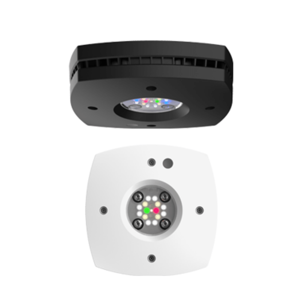 AI Prime 16 Freshwater HD LED Light - Perfect Aquatics Ltd