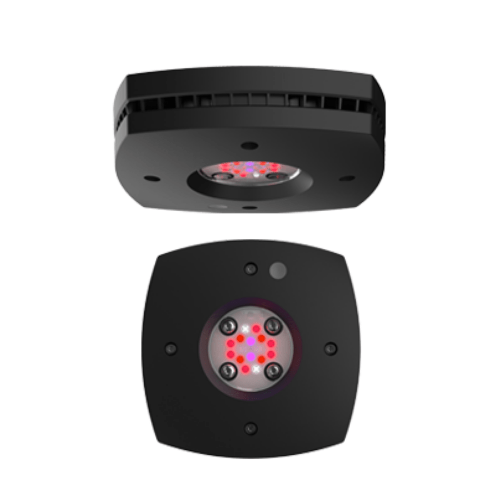 AI Prime 16 Fuge LED light - Perfect Aquatics Ltd