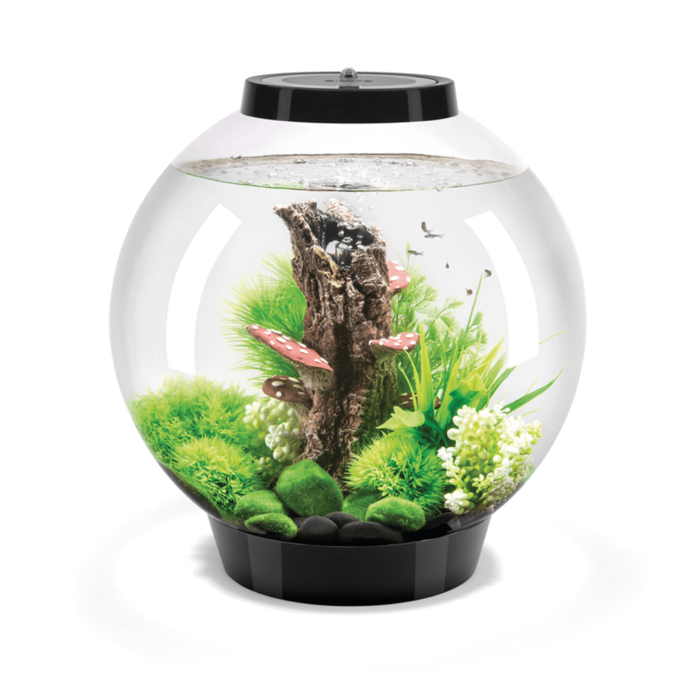 BiOrb Classic 30 MCR - Perfect Aquatics Ltd