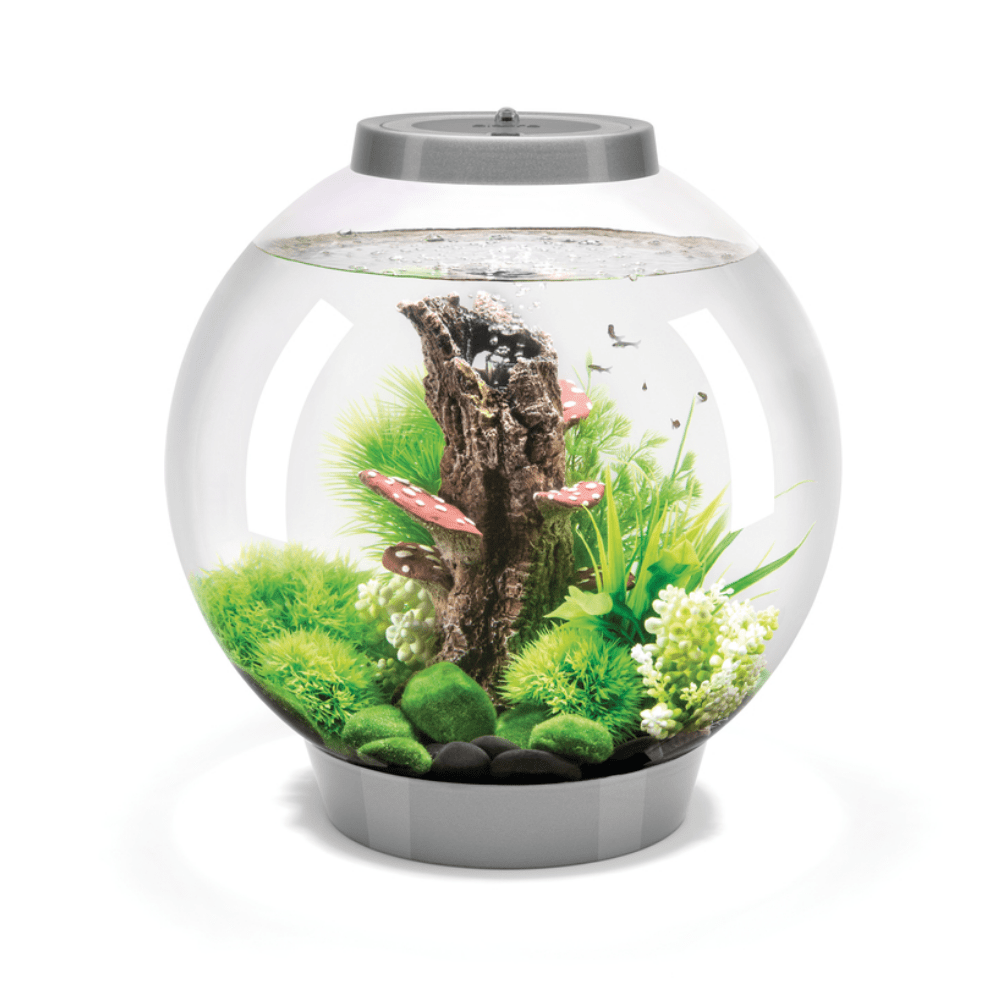 BiOrb Classic 30 MCR - Perfect Aquatics Ltd