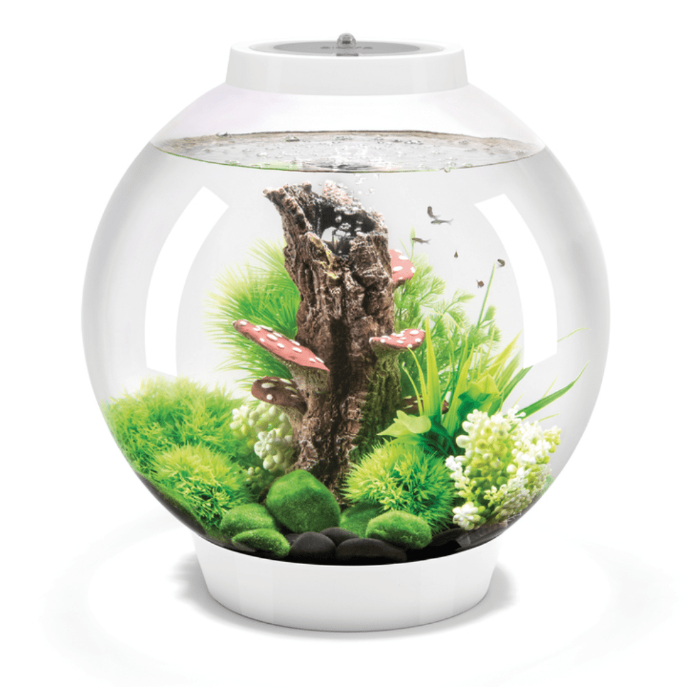 BiOrb Classic 30 MCR - Perfect Aquatics Ltd