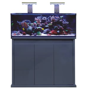 D - D Reef - Pro 1200 Aquarium - Clarisea Ready Sump - Perfect Aquatics Ltd