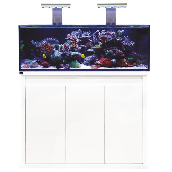 D-D Reef-Pro 1200 Aquarium - Clarisea Ready Sump