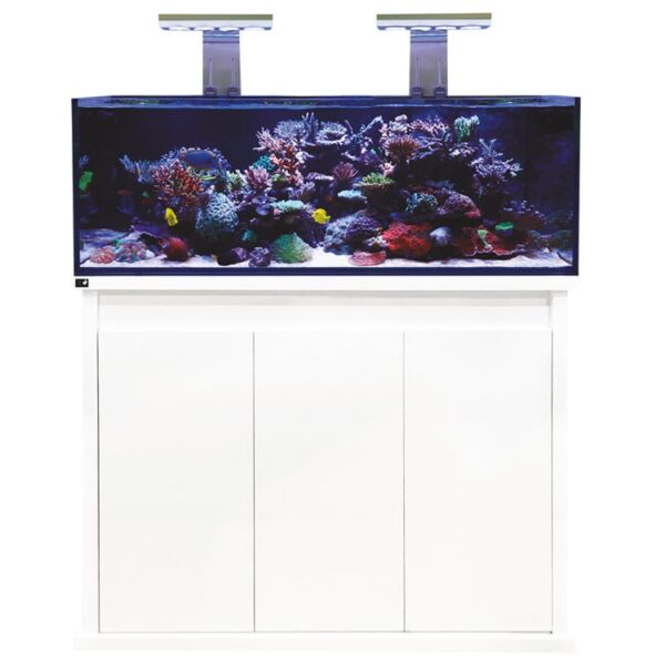 D - D Reef - Pro 1200 Aquarium - Clarisea Ready Sump - Perfect Aquatics Ltd