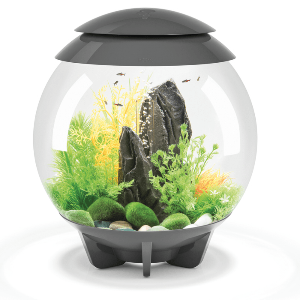 BiOrb Halo 30 MCR - Perfect Aquatics Ltd