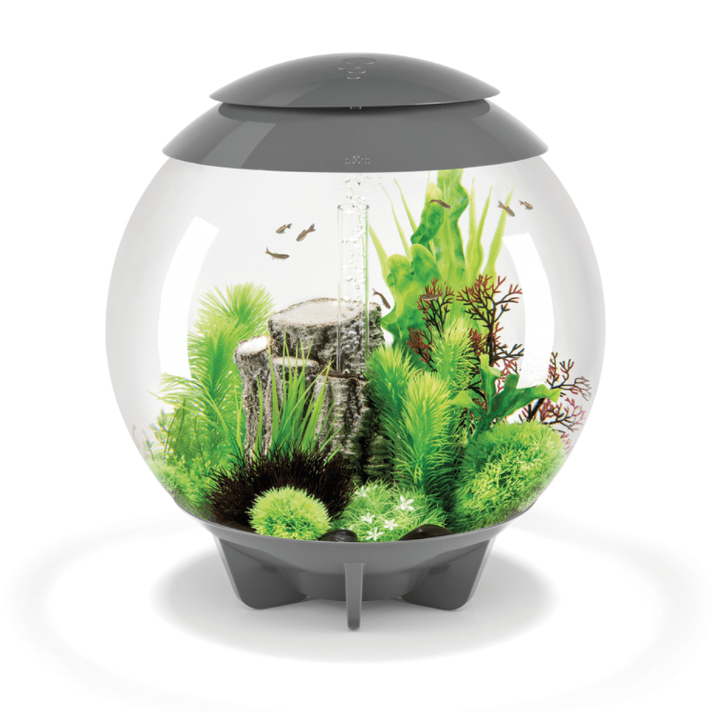BiOrb Halo 60 MCR - Perfect Aquatics Ltd