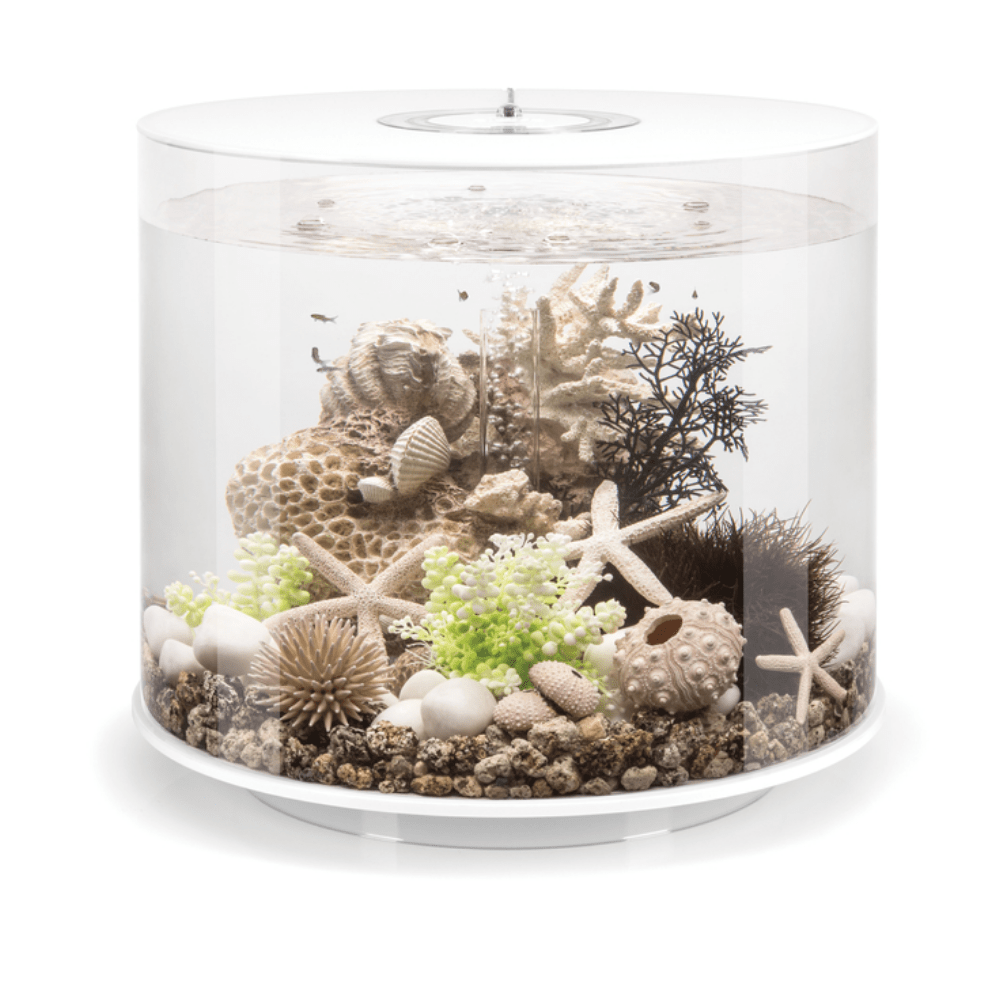 BiOrb Tube 35 MCR - Perfect Aquatics Ltd