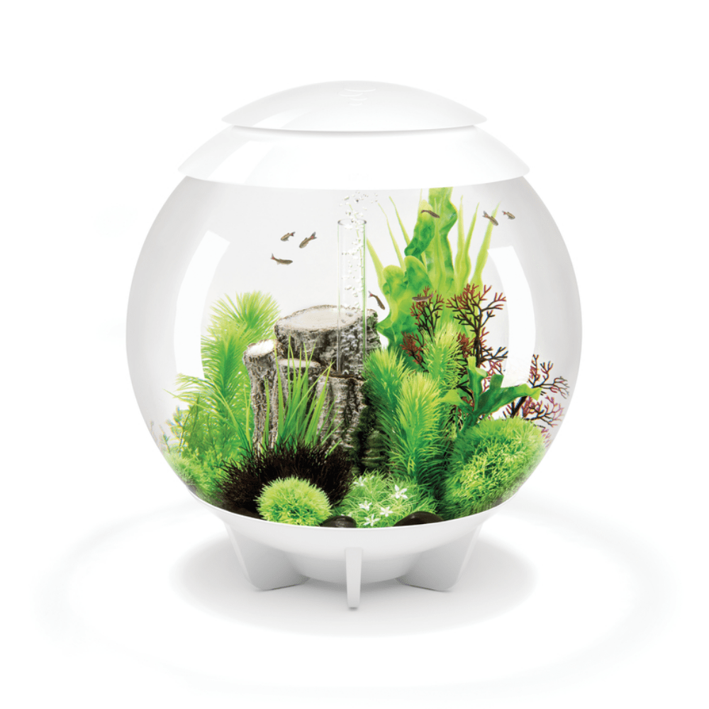 BiOrb Halo 60 MCR - Perfect Aquatics Ltd