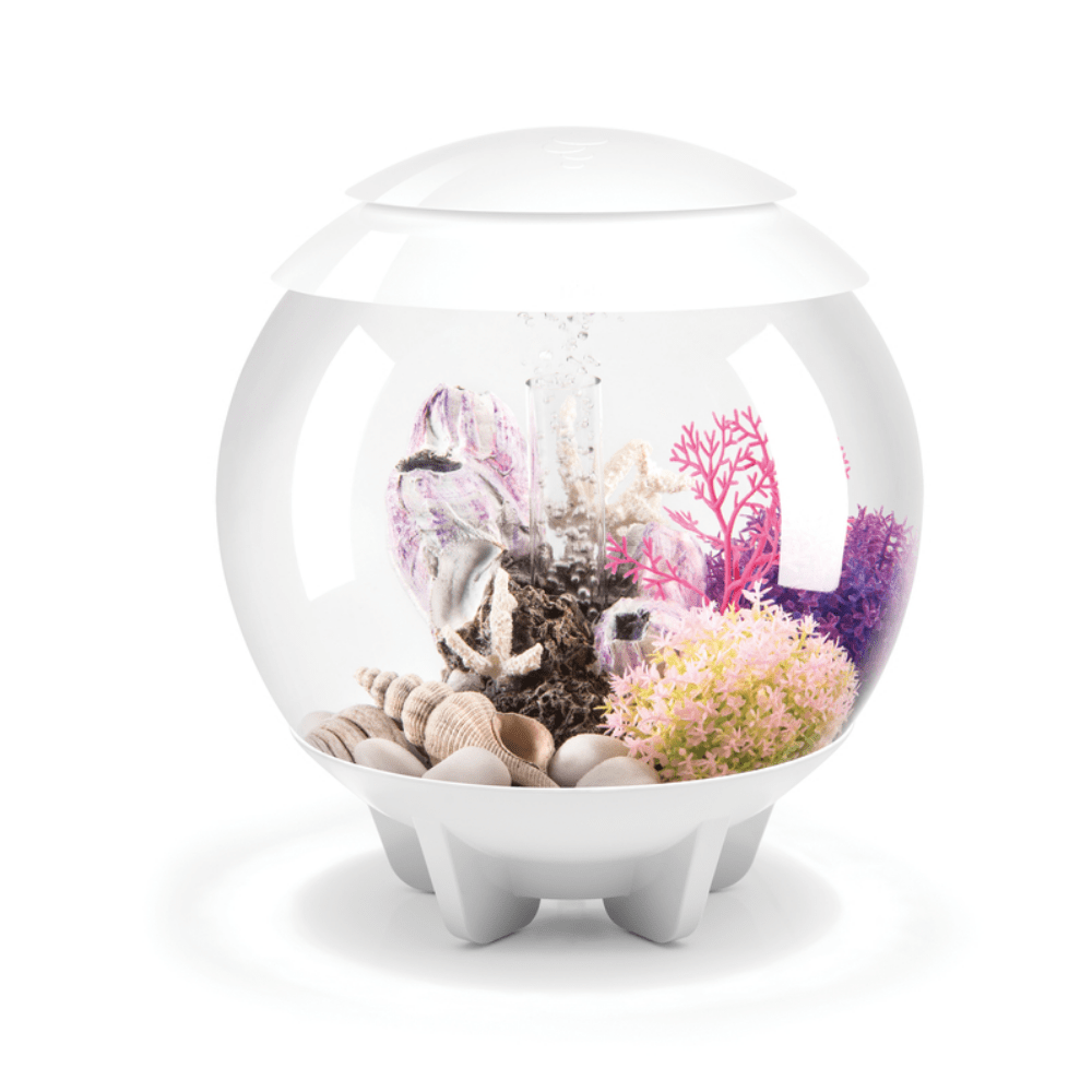 BiOrb Halo 15 MCR - Perfect Aquatics Ltd