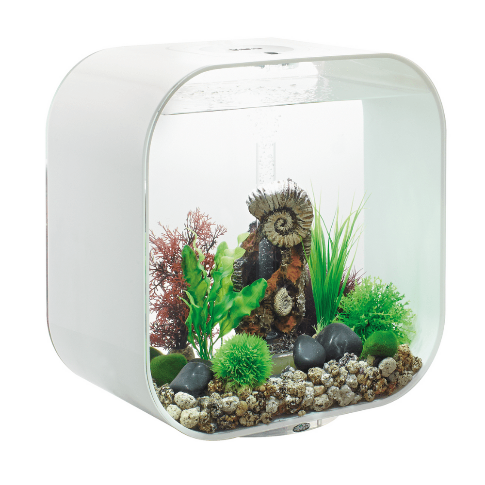 BiOrb Life 30 MCR - Perfect Aquatics Ltd