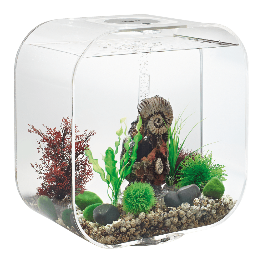 BiOrb Life 30 MCR - Perfect Aquatics Ltd