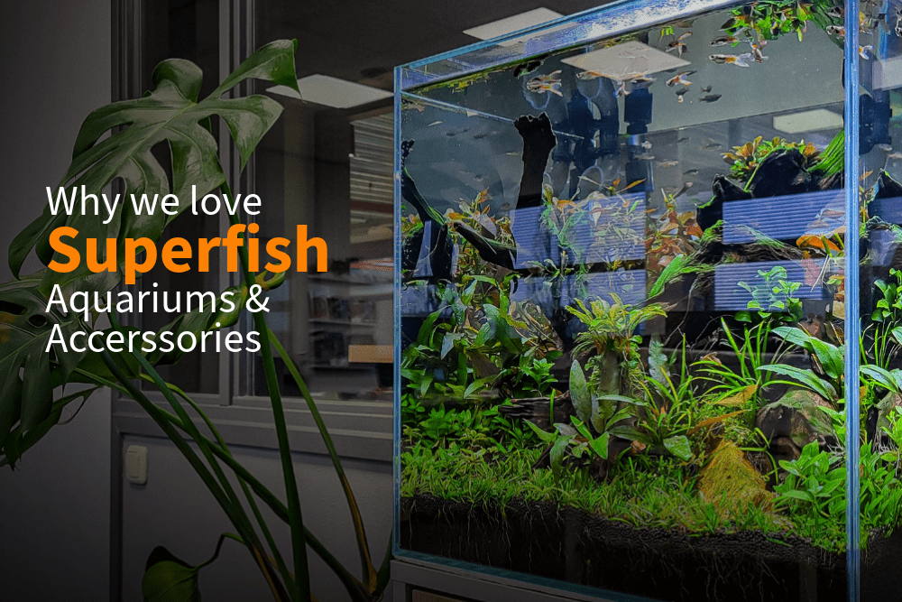 SuperFish Tropical Aquariums & Accessories – A Perfect Aquatics Favourite - Perfect Aquatics Ltd