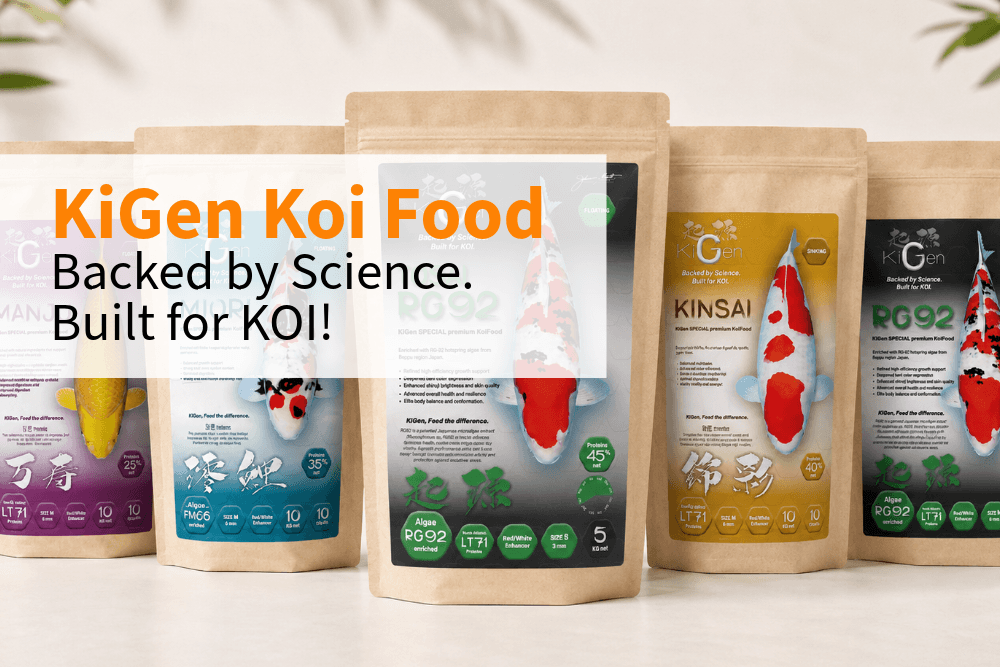 KiGen Koi Food Has Arrived: Science-Backed Nutrition for Serious Koi Keepers - Perfect Aquatics Ltd